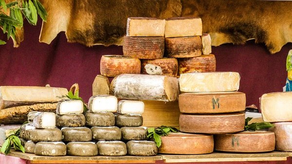 Comment Prolonger la Fraîcheur de Votre Fromage Frais : Astuces et Conseils de Conservation